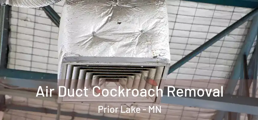Air Duct Cockroach Removal Prior Lake - MN