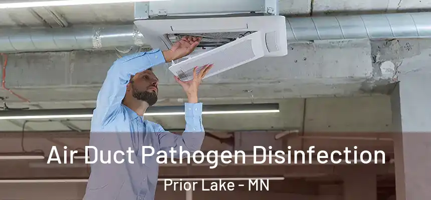 Air Duct Pathogen Disinfection Prior Lake - MN