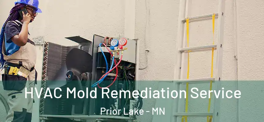 HVAC Mold Remediation Service Prior Lake - MN