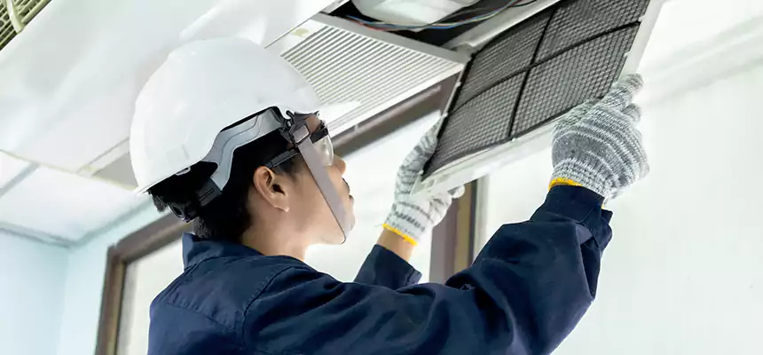 Our Mold & Mildew Removal from Air Ducts Services in Prior Lake, MN