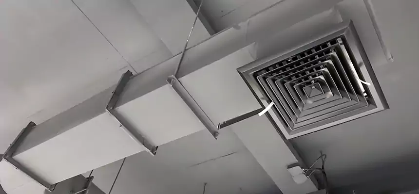 Our Pest Removal From Ducts Services in Prior Lake, MN