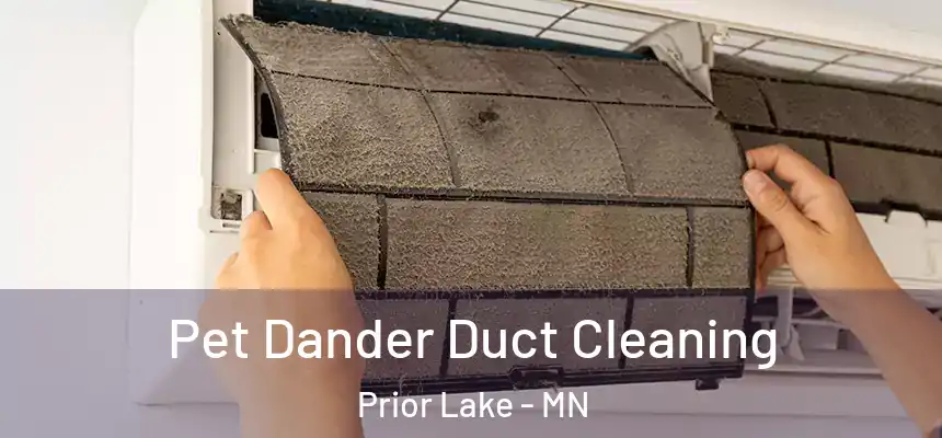  Pet Dander Duct Cleaning Prior Lake - MN