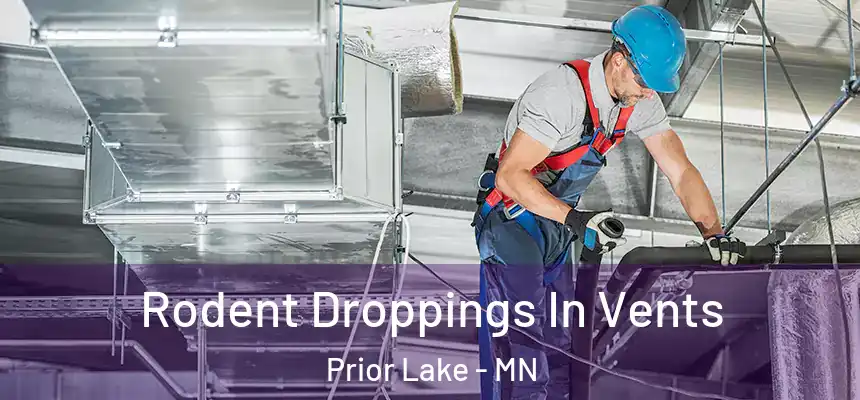 Rodent Droppings In Vents Prior Lake - MN