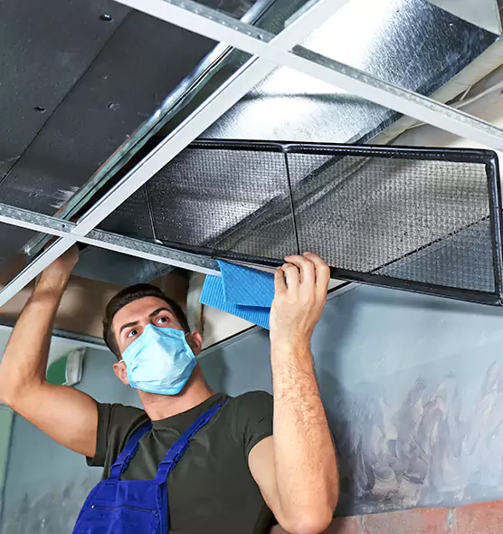 Professional Air Duct Pollen Cleaning in Prior Lake, MN