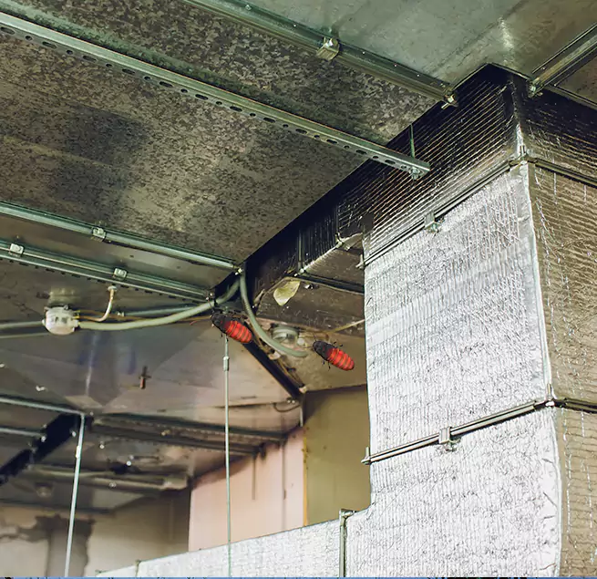 Why Homeowners & Businesses Trust Us in Prior Lake, MN?