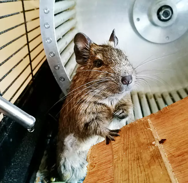 Why Homeowners & Businesses Trust Us Prior Lake, MN?