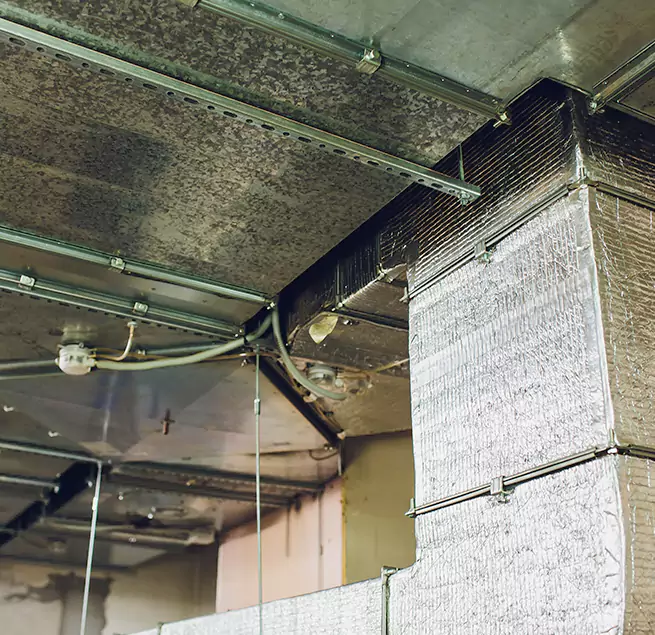 Why Homeowners & Businesses Trust Us in Prior Lake, MN?