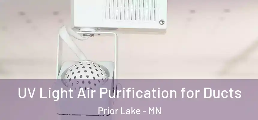  UV Light Air Purification for Ducts Prior Lake - MN